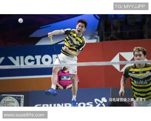 对话王敏：回顾羽毛球生涯的辉煌与挑战之路