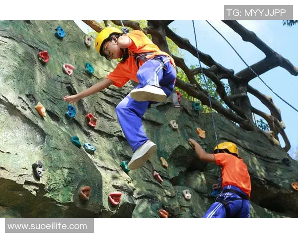 广州攀岩队揭秘:技术与激情交织的攀岩之旅 广州攀岩队揭秘:技术与激情交织的攀岩之旅