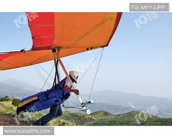 探索杭州极限运动队的运营模式与发展潜力深度解析