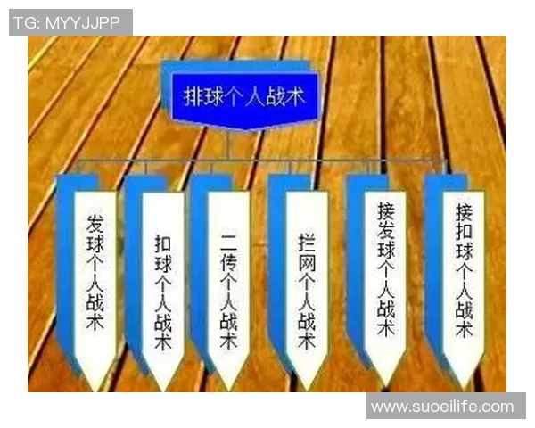 深入分析成都排球队控制打法的战术特点与应用策略