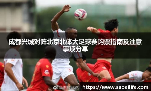 成都兴城对阵北京北体大足球赛购票指南及注意事项分享